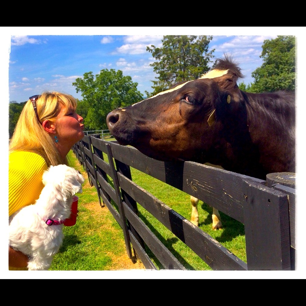 Meet your Posher, Stephanie